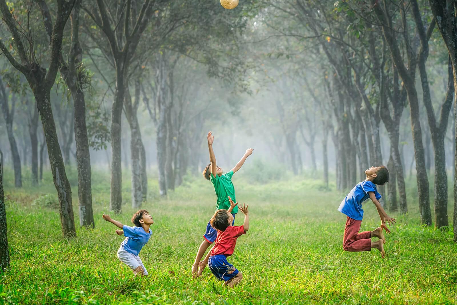 Spielende Kinder auf einer Wiese